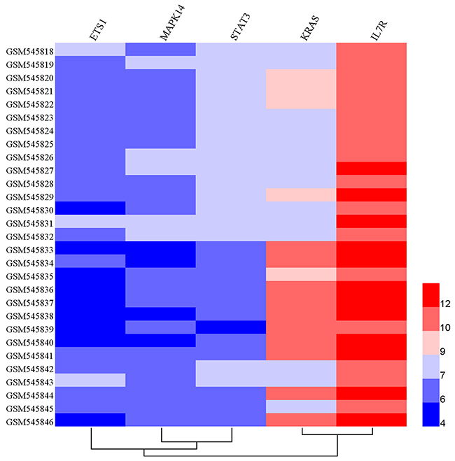 Hierarchical clustering analysis between 14 MS patients and 15 healthy controls based on differentially expressed genes.