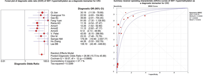 Forest plot of diagnostic odds ratio (DOR) and Summary receiver operating characteristic (SROC) curves of WIF1 hypermethylation as a diagnostic biomarker for CRC.