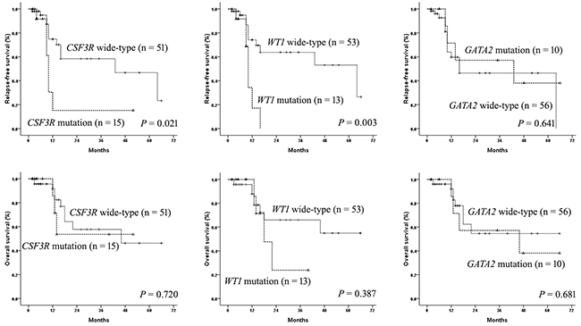 The influence of CSF3R, WT1, and GATA2 mutations on outcomes in AML patients with CEBPAdm.