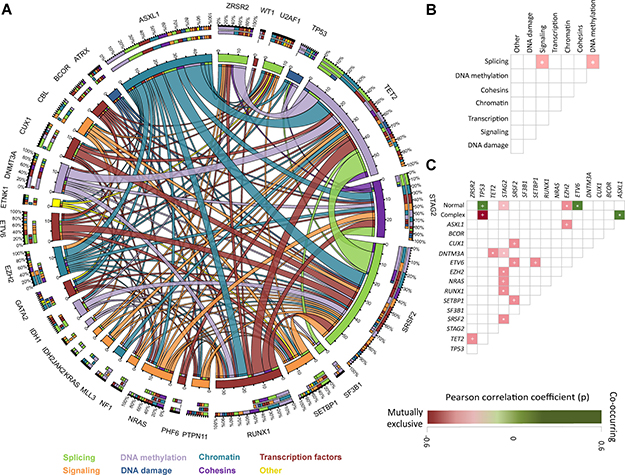 Association of mutations and pathway distribution.