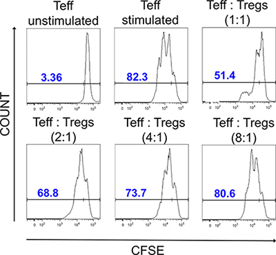 Suppressive properties of Tregs after expansion.