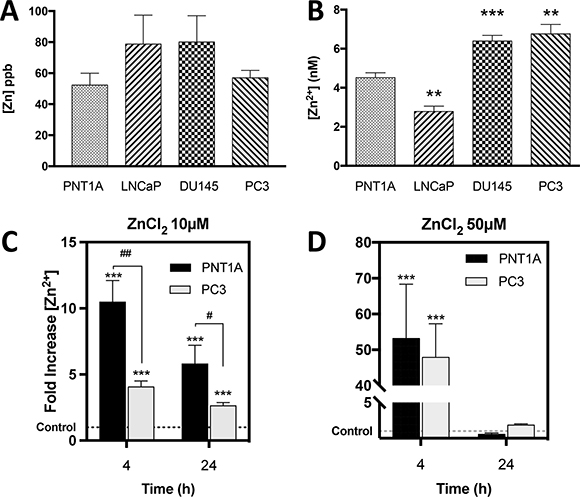 CRPC-like cells contain significantly higher basal free Zn2+ ions but equal total zinc compared to normal controls.