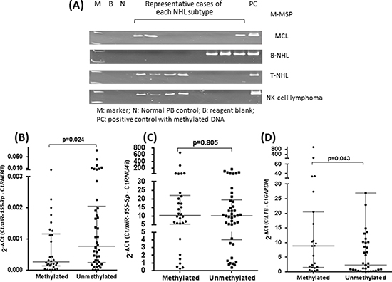 Overexpression of LT-&#x03B2; resulted from methylation-mediated silencing of miR-155-3p.