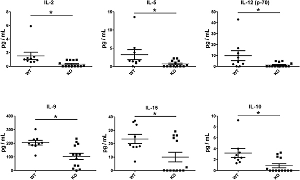 Reduced cytokine levels in lung grafts of KO (n = 13) compared to WT (n = 9) mice.
