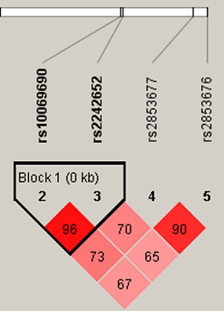 Haplotype block map for the four SNPs in TERT.