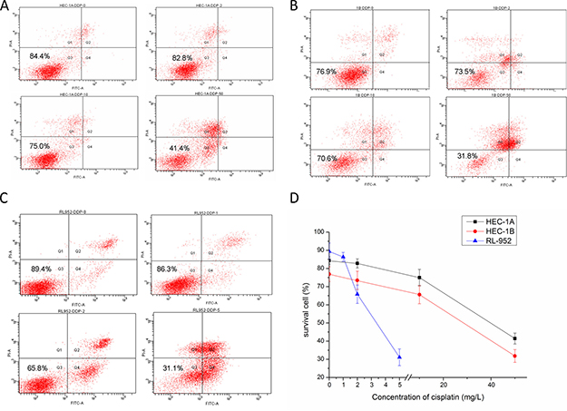 Effect of cisplatin on endometrial cancer cell survival rate.