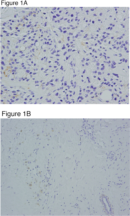 Figure 1: