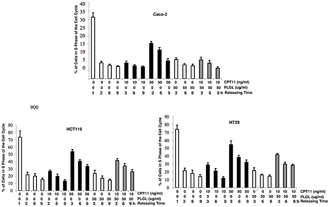 Colon cancer cells accumulated in S phase in response to the co-treatment.