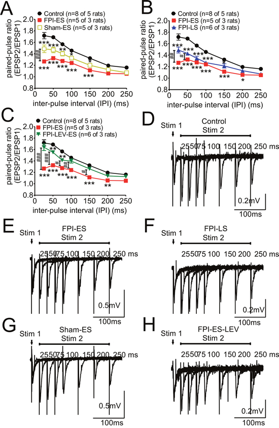 Paired-pulse stimulation responses, impaired in the post-FPI seizure animals, could be partially reversed by prophylactic administration of LEV.