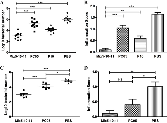 Multi-subunit vaccine consisting of three dominant antigens (Mix5-10-11) had a better efficiency than a single-subunit vaccine.