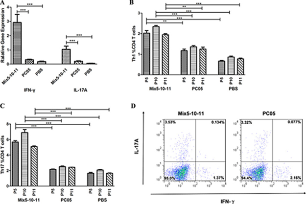 Mix5-10-11 multi-subunit vaccine elicited stronger Th1 and Th17 responses to protect against H. pylori infection.