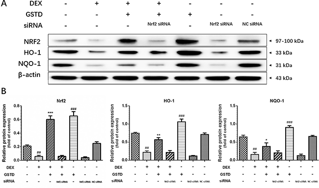 Figure 5: