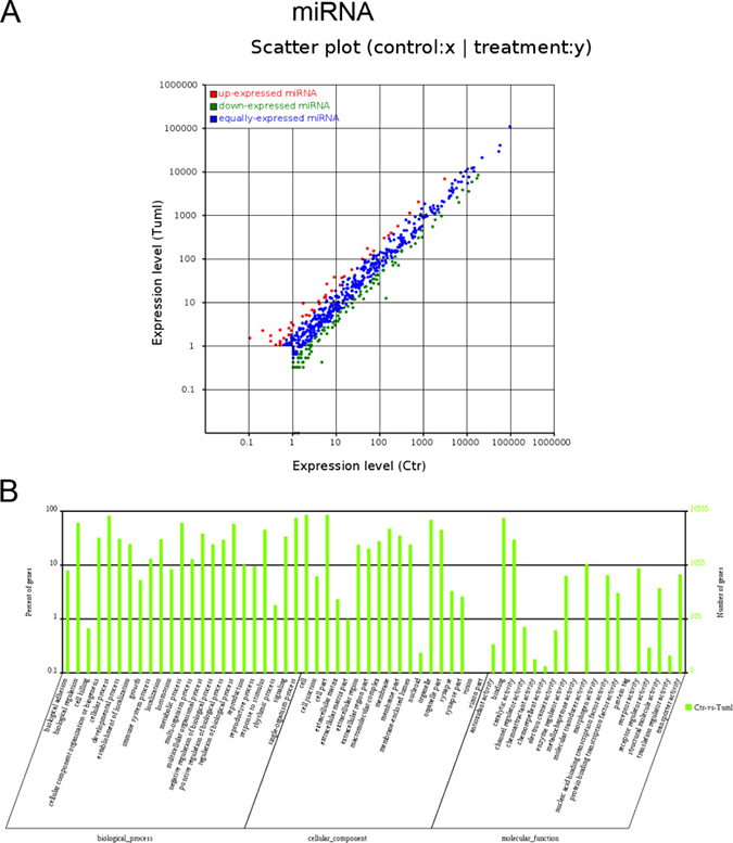 Expression profiles of differentially expressed miRNAs and Gene ontology (GO) terms for target mRNAs of differentially expressed miRNAs between infantile hemangioma and adjacent normal skin tissues.