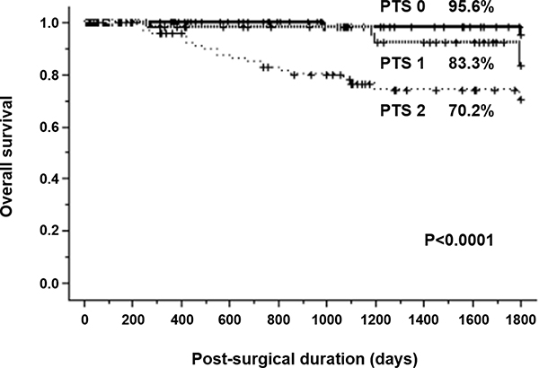 Kaplan&#x2013;Meier survival curves for patients with resectable gastric cancer based on primary tumor score.