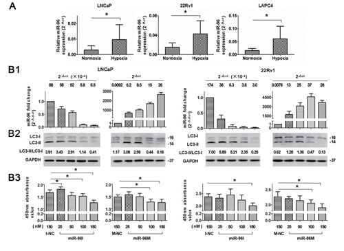 Dose-dependent regulation of miR-96 on hypoxia induced autophagy in prostate cancer cells.