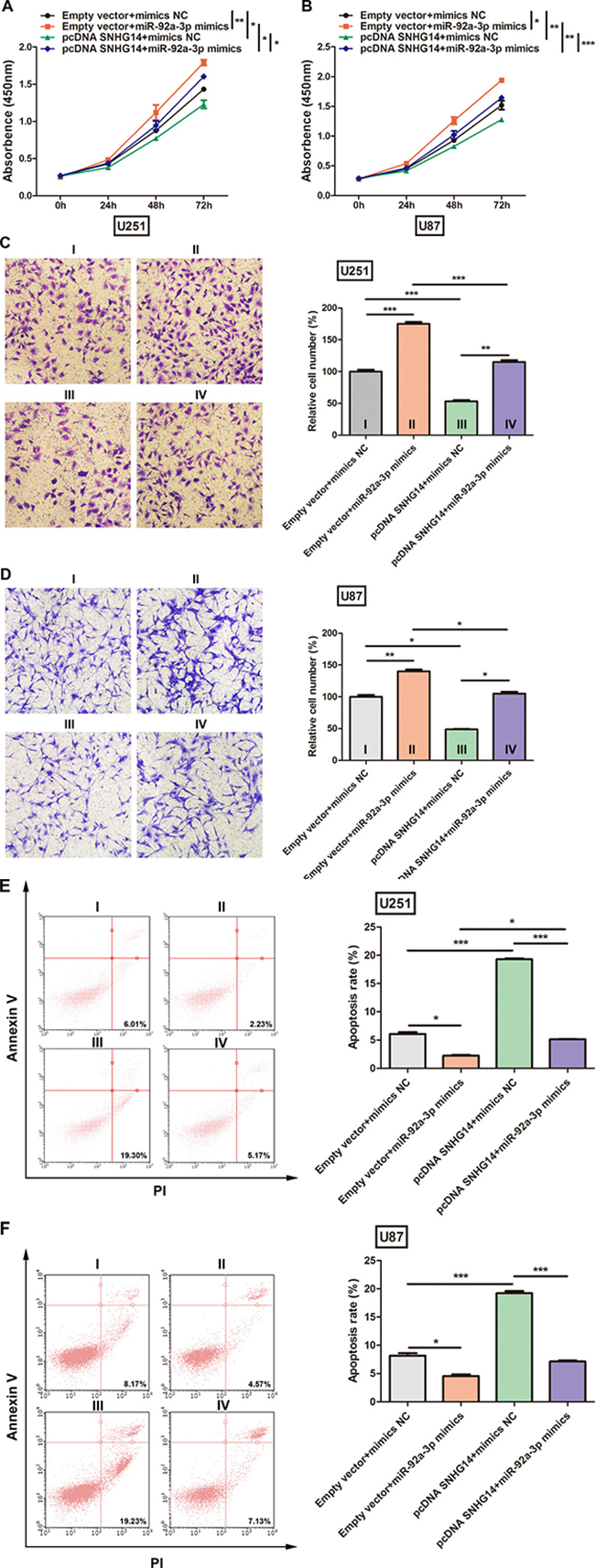 miR-92a-3p inhibited SNHG14 function in glioma.
