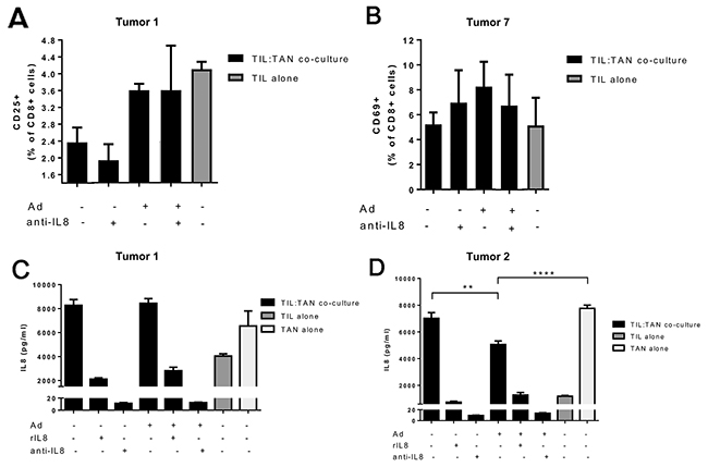 Cytotoxic T cell activation and IL-8 production in ovarian tumor derived TIL and TAN co-cultures obtained from human patients.