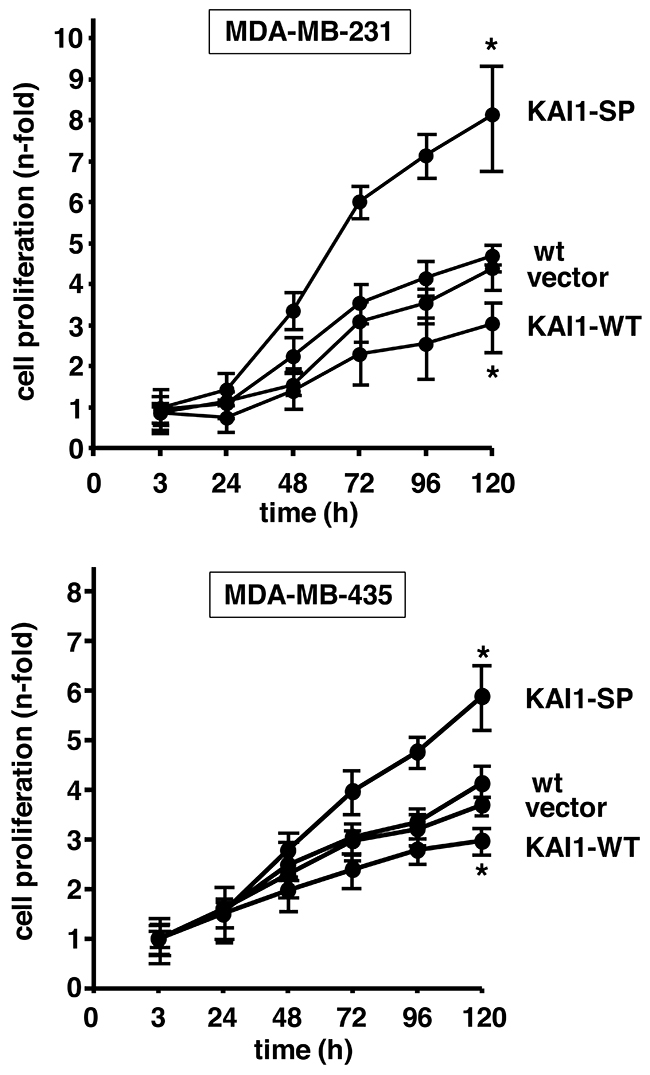 Effect of KAI1-WT or KAI1-SP on breast cancer cell proliferation.
