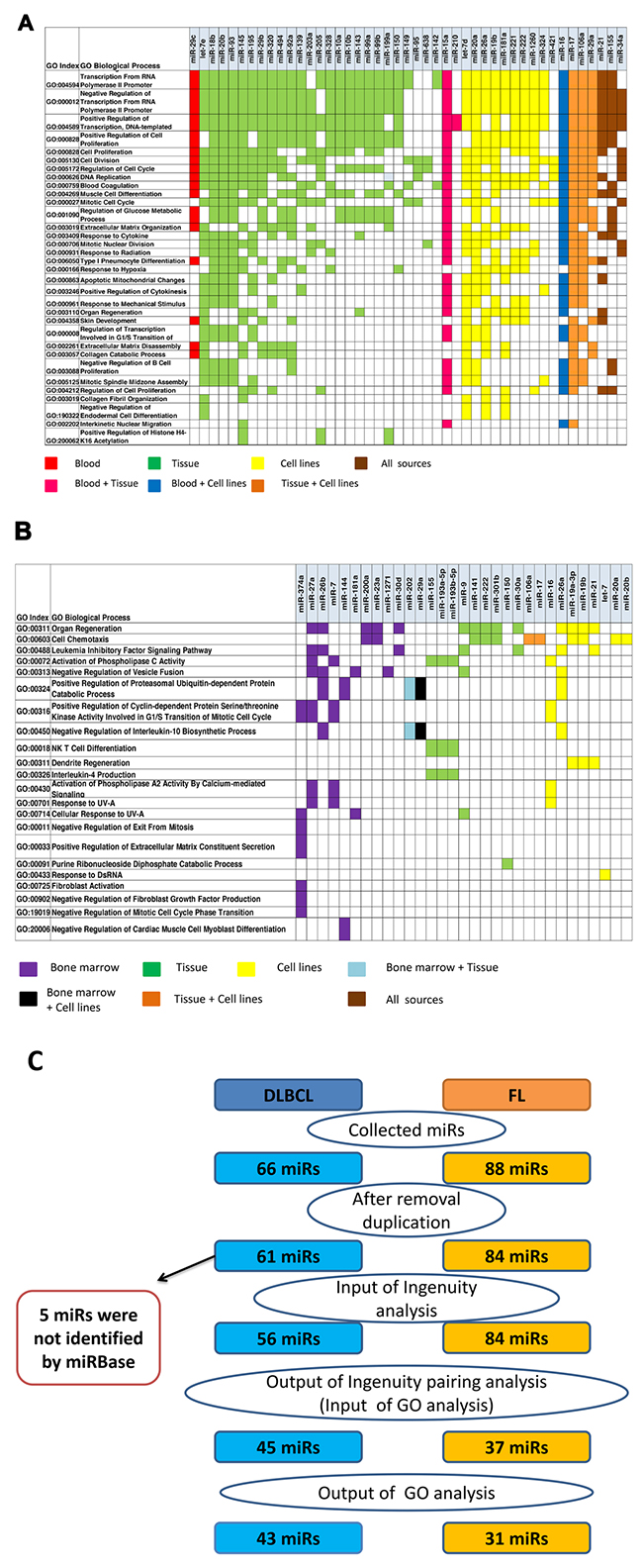 Ingenuity Pathways Analysis (IPA) pairing of miRs and gene groups that were significantly altered in DLBCL and FL were paired using gene ontology (GO) annotations associated with related miRNAs classified by their biological sources.