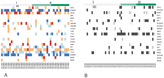 Genetic profiles of each radiomic cluster for representative genes.