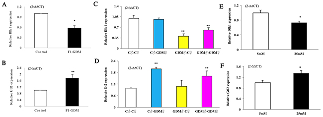 Dlk1, Gtl2 gene expression assessed by real-time quantitative PCR.