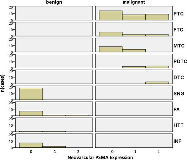 Histograms of malignant tumors and benign thyroid diseases according to their biological potential and PSMA labelling index.