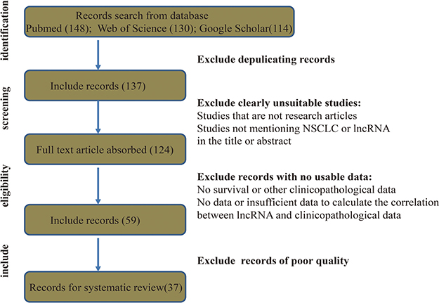 Flow diagram showing the study collection process.