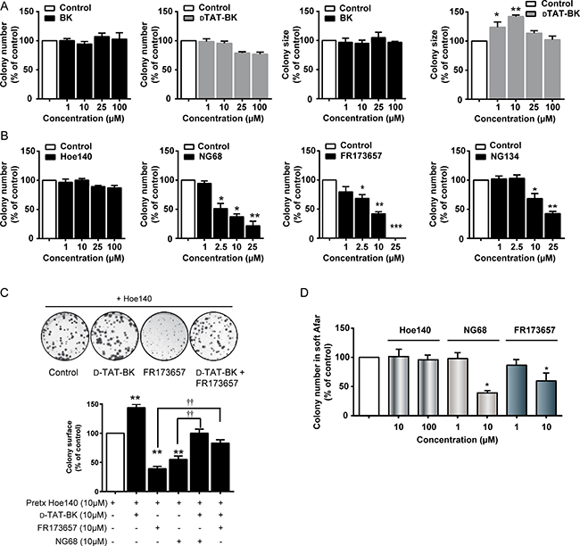 CP-B2RAs abrogate clonogenic potential of MDA-MB-231 cells.