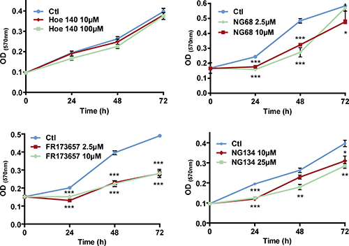 Concentration-dependent anti-proliferative effects of CP-B2RAs on MDA-MB-231 cells.