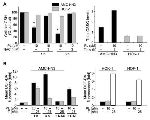Piperlongumine selectively increases ROS accumulation in HNC cells but not normal cells.