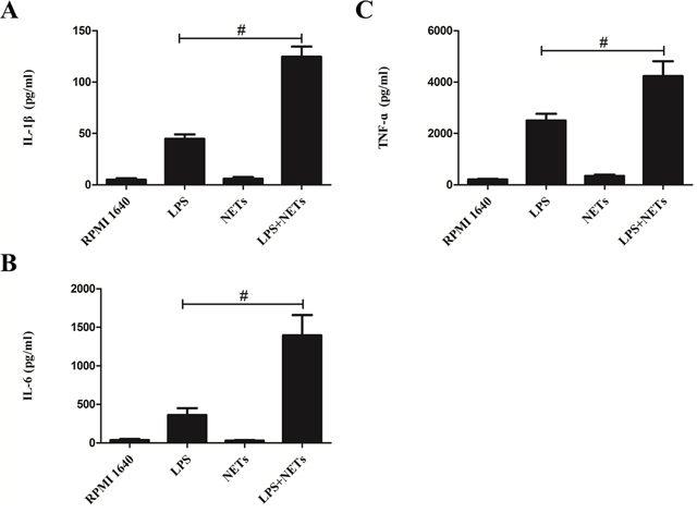 NETs promote LPS-induced cytokine production in macrophages.