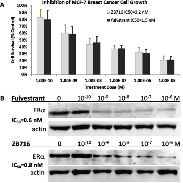 Figure 4: