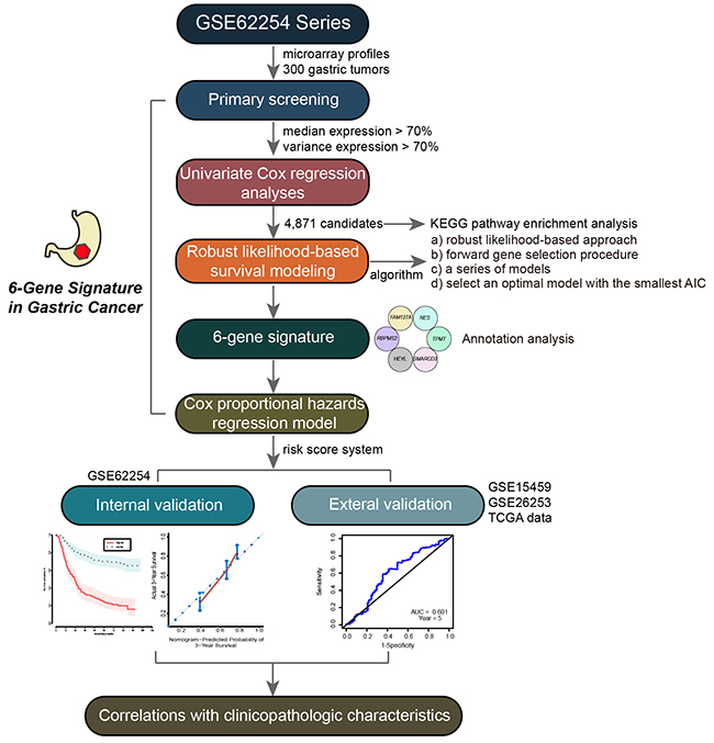 Workflow of the multi-step strategy for developing the six-gene signature as a prognostic predictor of patients with GC.