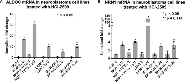 Gene expression changes in neuroblastoma cell lines treated with HCI-2509 assessed by quantitative reverse transcription-PCR (RTPCR).