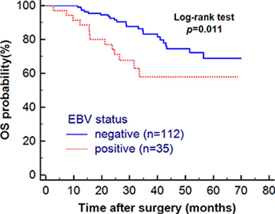 The association of patients&#x2019; overall survival (OS) with EBV infection.