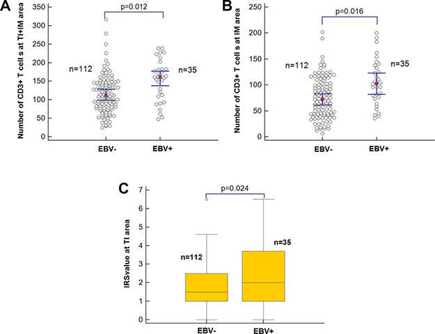 The association of EBV infection with immune status.