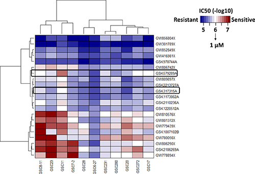 An HTS assay was used to identity drug sensitivities of 21 compounds in the PKIS (GSK) in a panel of 11 GSC lines, which were representative of the classic cancer genome atlas (TCGA) molecular subtypes.