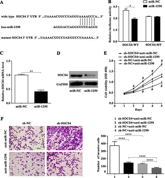 miR-1290 promotes cell proliferation and invasion in lung adenocarcinoma by targeting SOCS4.