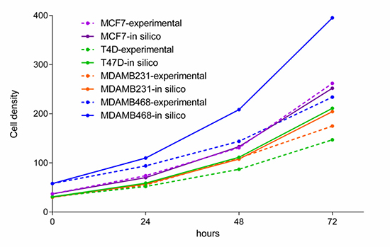 Experimental measurements of cell growth over 72 hours and a model simulation of growth during the same time period.
