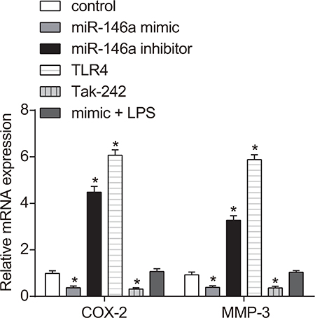 Effect of miR-146a on COX-2, PGE2, MMP-3 and Seprase expression in RA-FLSs.
