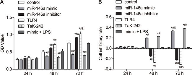 Effect of miR-146a on RA-FLS cell proliferation.