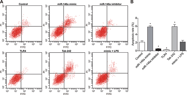 Effect of miR-146a on RA-FLS cell apoptosis.