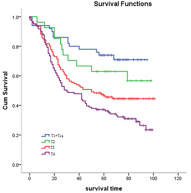 Relationship between pathological T stage and survival.