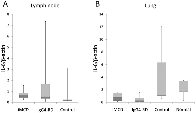 Results of quantitative real-time PCR for IL-6.