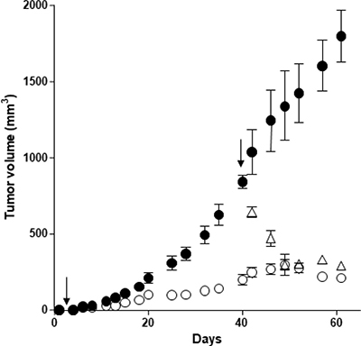 Effect of orexin-A inoculation on the growth of tumors developed by xenografting OX1R expressing pancreas cancer PDX cells in nude mice - PDX cells were inoculated (106 cells per xenograft) in the flank of nude mice at day 0.