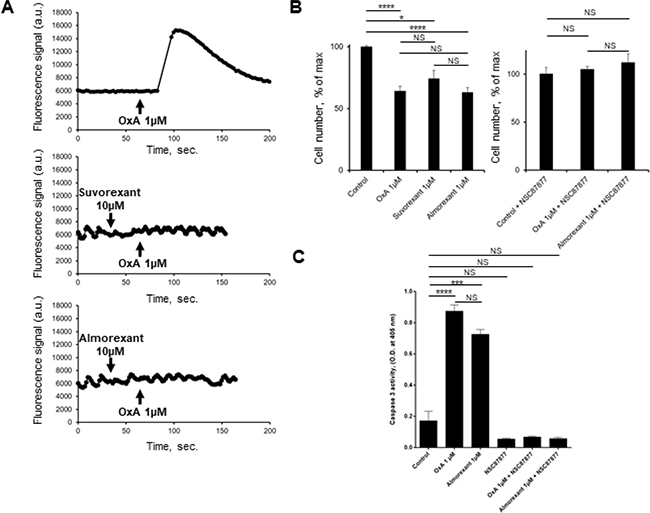 Effect of almorexant and suvorexant on intracellular Ca2+ release, cell growth and caspase-3 activity.