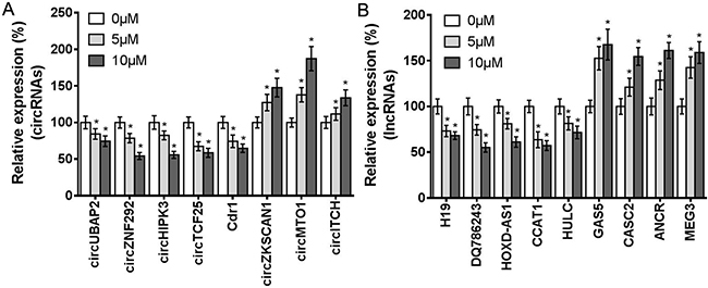 Effects of isothiocyanate derivative on the expression of circRNAs and lncRNAs of U251 cells.