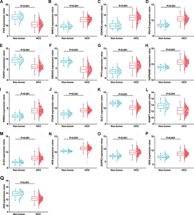 17 differentially expressed autophagy-related genes based on TCGA databases.