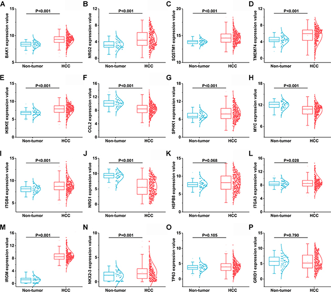 Another 16 differentially expressed autophagy-related genes based on TCGA databases.