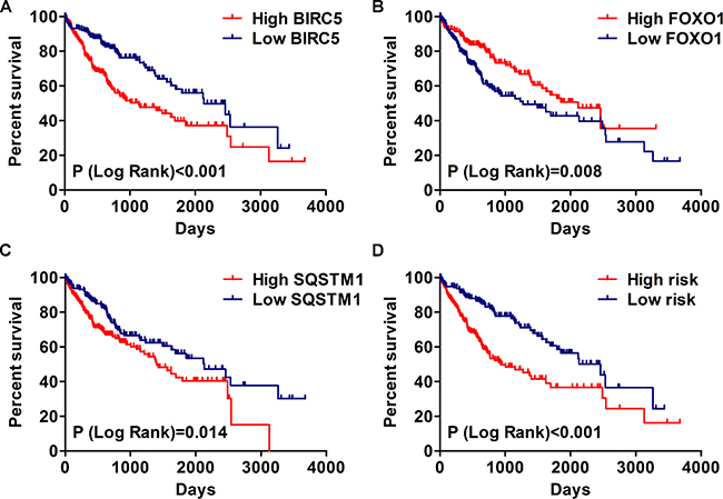 The correlation between prognosis index and HCC patients&#x2019; survival.